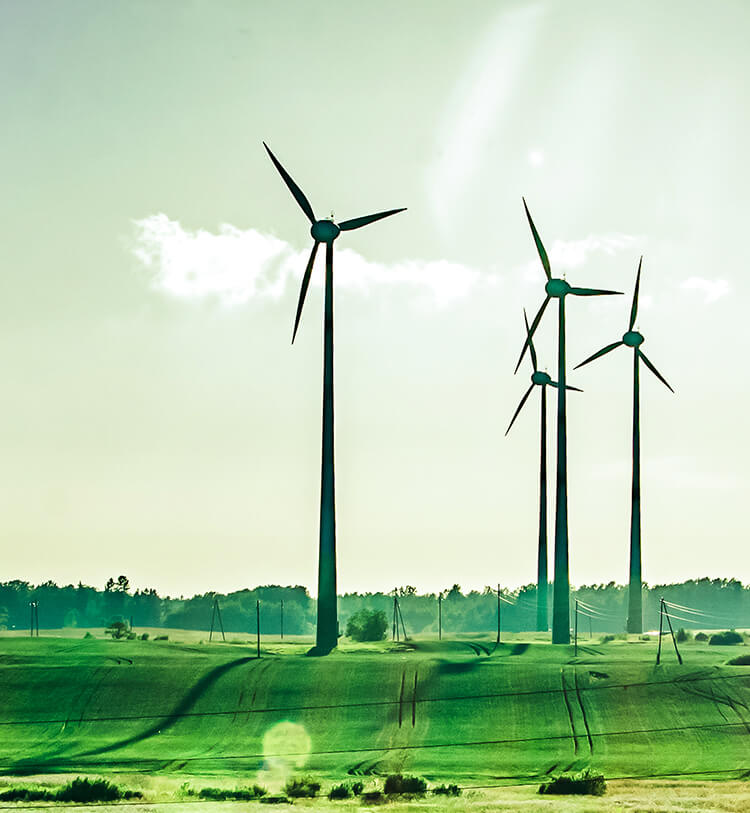 共享 分享 共贏